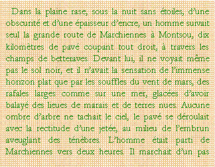 Zone de Texte: Dans la plaine rase, sous la nuit sans toiles, dune obscurit et dune paisseur dencre, un homme suivait seul la grande route de Marchiennes  Montsou, dix kilomtres de pav coupant tout droit,  travers les champs de betteraves. Devant lui, il ne voyait mme pas le sol noir, et il navait la sensation de limmense horizon plat que par les souffles du vent de mars, des rafales larges comme sur une mer, glaces davoir balay des lieues de marais et de terres nues. Aucune ombre darbre ne tachait le ciel, le pav se droulait avec la rectitude dune jete, au milieu de lembrun aveuglant des tnbres. Lhomme tait parti de Marchiennes vers deux heures. Il marchait dun pas 
